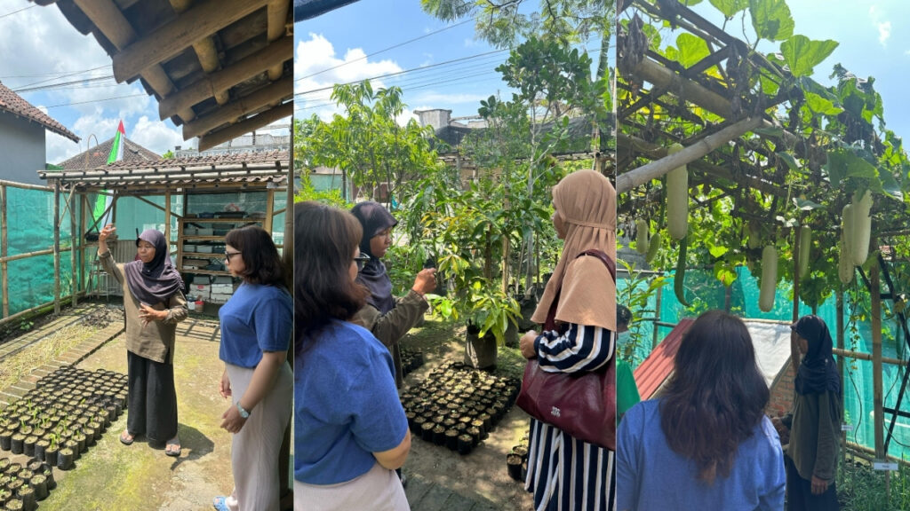 Sustainable Living and Mental Health A Visit to Yoso Farm