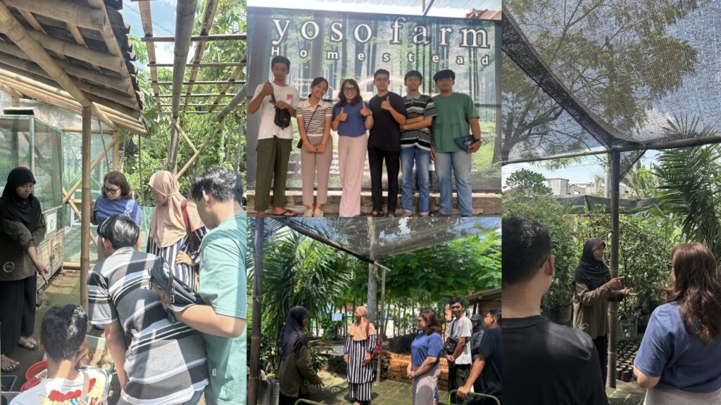 Sustainable Living and Mental Health A Visit to Yoso Farm