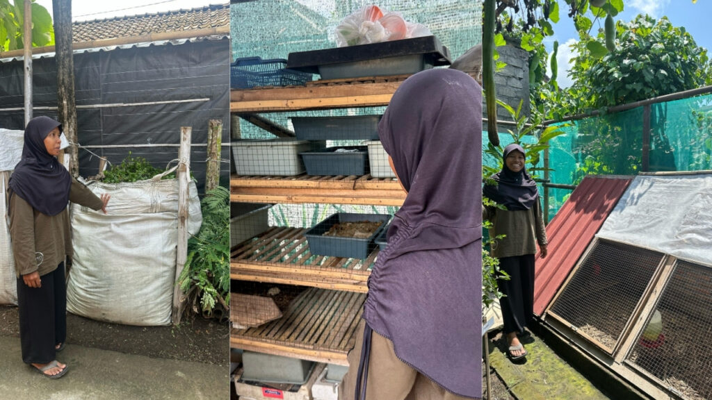 Sustainable Living and Mental Health A Visit to Yoso Farm