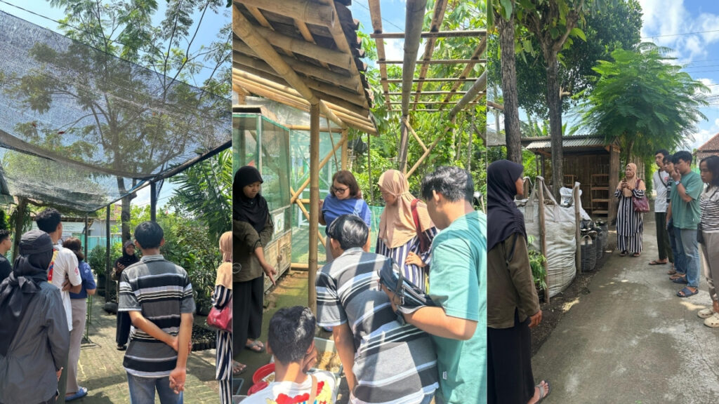 Sustainable Living and Mental Health A Visit to Yoso Farm