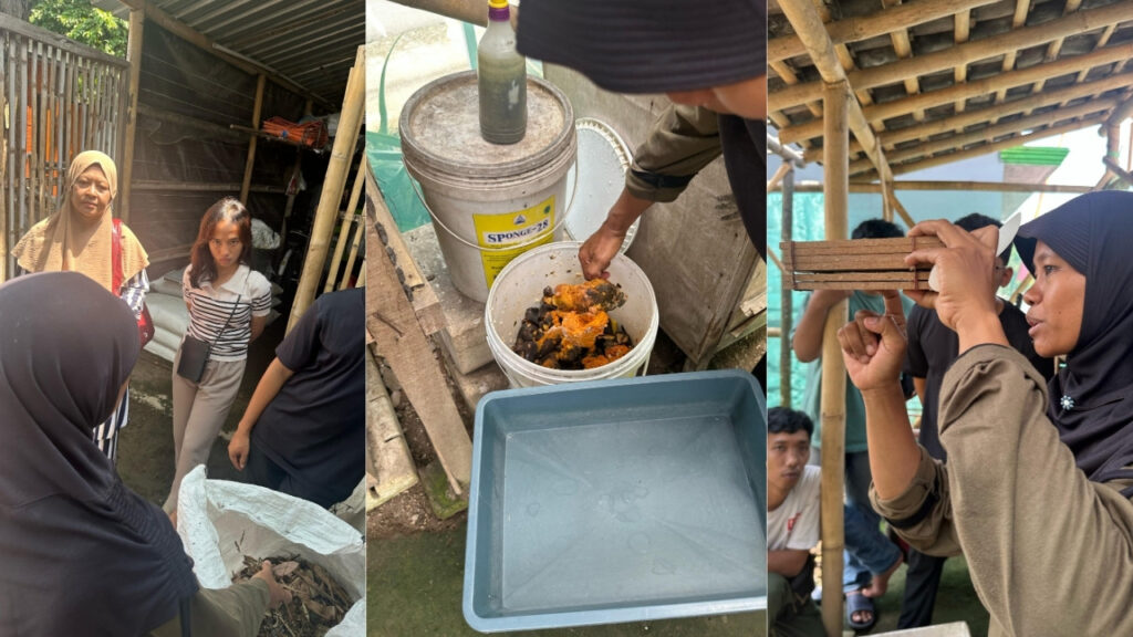 Sustainable Living and Mental Health A Visit to Yoso Farm