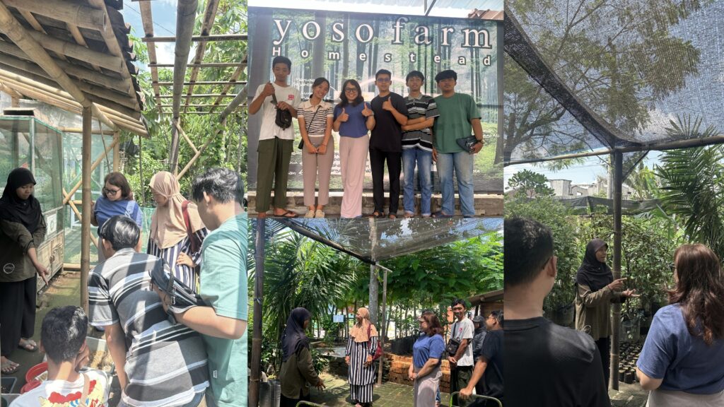 Moment TMH.id and local youth from Prenggan visited Yoso Farm