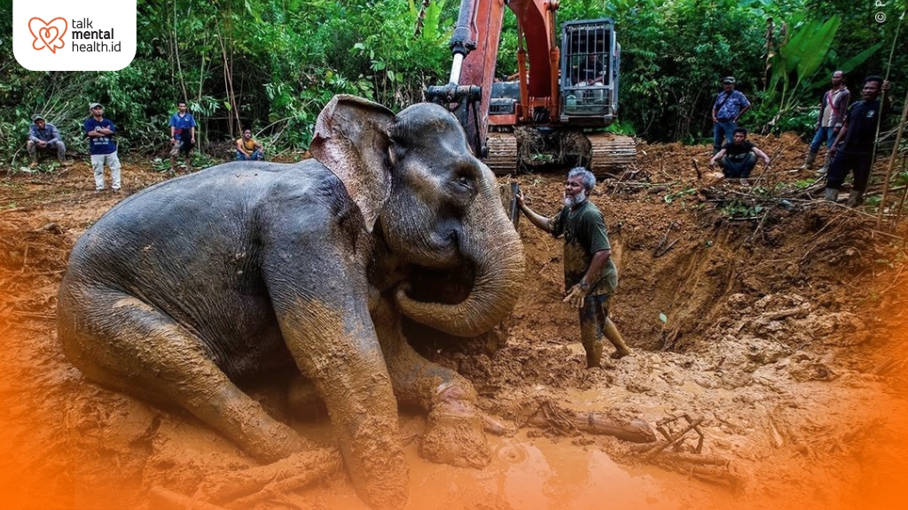 Eco-Anxiety and the Tesso Nilo Conflict: Understanding the Emotional Toll of Environmental Crisis